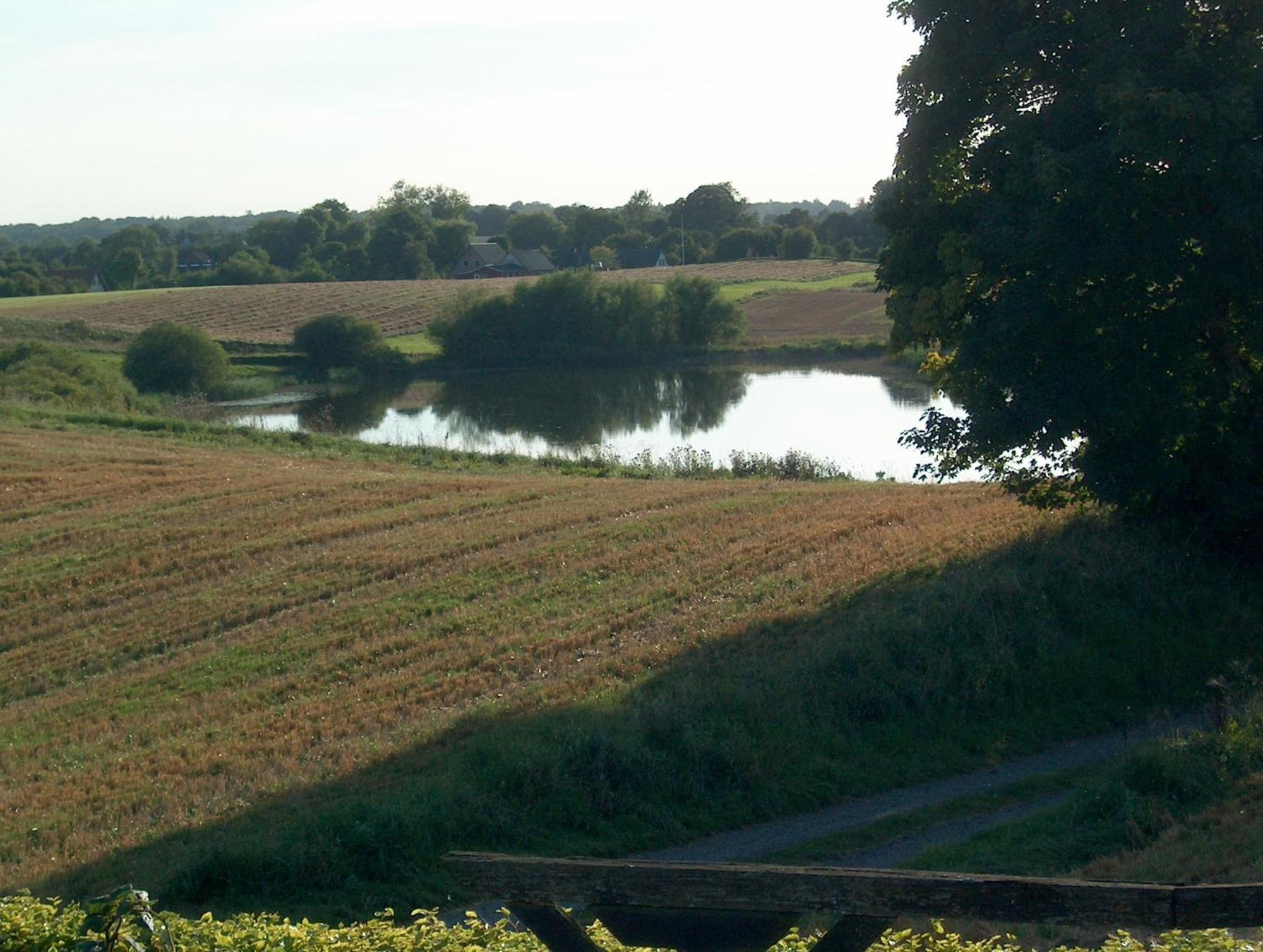 Nedlagt Landbrug Med 3 Lejligheder Vejle Exterior foto